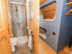 a small bathroom with a shower and a toilet at Conwy Pod in Llanrwst