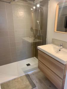 uma casa de banho com um chuveiro e um lavatório. em Appartement de standing avec terrasse em Saintes-Maries-de-la-Mer