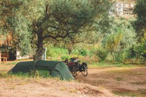 Tienda de campaña con bicicletas estacionadas junto a un árbol en Olive Camping en Himare