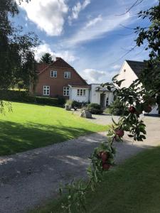 un patio con dos casas y un campo de hierba en Ferielejlighed til 2 personer, en Ebeltoft