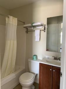 a bathroom with a toilet and a sink and a mirror at Paris Extended Stay Suites in Paris