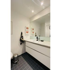 W łazience znajduje się umywalka i lustro. w obiekcie ApartmentInCopenhagen Apartment 1565 w Kopenhadze