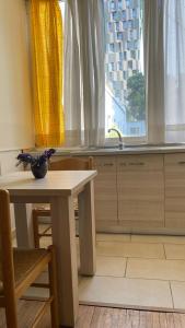 eine Küche mit einem Tisch, einem Waschbecken und einem Fenster in der Unterkunft Scanderbeg Square Apartment in Tirana