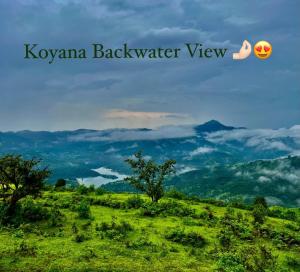 een groen veld met uitzicht op een vallei bij Heavens Edge Resort in Mahabaleshwar