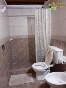 a bathroom with a toilet and a shower at Cabañas Los Nonos in El Bolsón