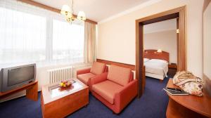 Televiisor ja/või meelelahutuskeskus majutusasutuses Hotel Cernigov