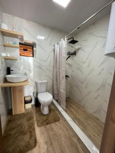 un bagno con un water e un lavandino di Panorama Sarpi a Batumi