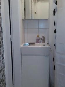 uma pequena casa de banho branca com um lavatório e um espelho. em Habitat em Senaki