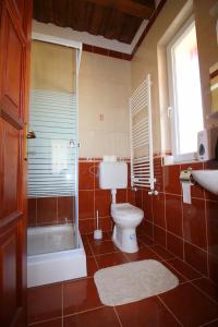 O baie la Bánvölgye Vendégház és Apartmanok +43 fotografii