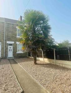 a palm tree in front of a house at Spacious 3 bed house in Wombwell in Wombwell