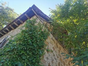 アルネアにあるDendrocopos Mediusの石垣の横に蔦が生えている