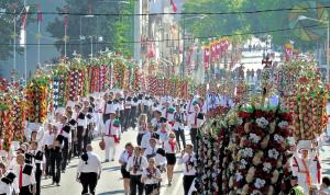 a parade of people walking down a street with flags at Tomarhousing - 37 Old Town in Tomar