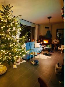 uma sala de estar com uma árvore de Natal e um sofá em Casa din Poiana Garâna em Garana