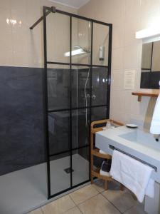 a shower with a glass door in a bathroom at Logis Hotel Restaurant Le Jardin Délice in Saint-Victor