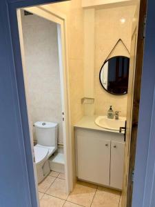 y baño con aseo, lavabo y espejo. en Maison Okaina, Sauna, Au centre-ville de Macon, en Mâcon