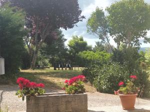 Fotografie z fotogalerie ubytování La Artesonada casa con finca (Puebla de Sanabria). v destinaci Puebla de Sanabria