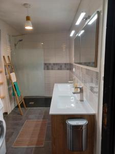 une salle de bains avec un lavabo et un miroir dans l'établissement le gîte le CAMÉLIA, à Saint-Aignan 20 autres photos