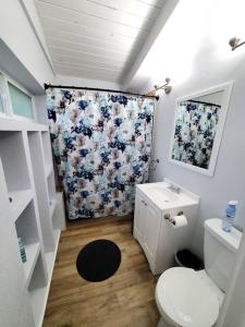 baño con aseo y cortina de ducha de flores en Large beautiful Magnolia in the sunny Saint Pete., en San Petersburgo 73 fotos más