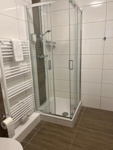 ein Bad mit einer Dusche und einer Glastür in der Unterkunft Hotel Seewiefken in Wangerland