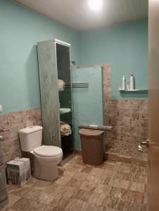La salle de bains est pourvue d'une douche et de toilettes. dans l'établissement ALOJAMIENTO RURAL AN CA LA ABUELA PILAR, à El Real de la Jara