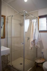 a shower with a glass door in a bathroom at Nature's Valley Health Retreat A Hide away in the Forest in Natureʼs Valley
