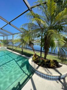 a swimming pool with a palm tree next to the water at Its A Dream Family Vacation Rental - Minutes from Disney in Kissimmee