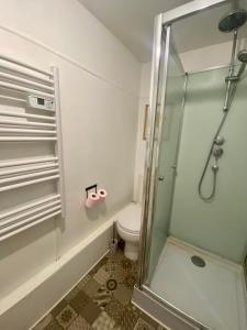 y baño con aseo y ducha acristalada. en Logement Merida de Rouen - 063, en Rouen