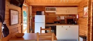 a kitchen with a refrigerator and a table in a cabin at Quinta D' LuzArcoIris in Arganil