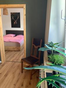 ein Schlafzimmer mit einem Spiegel, einem Bett und einem Stuhl in der Unterkunft Katharina Boardinghouse in Osnabrück