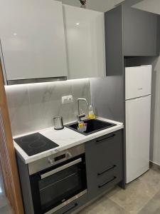 La cuisine est équipée d'un évier, d'une cuisinière et d'un réfrigérateur. dans l'établissement KM52 luxury apartment, à Thessalonique