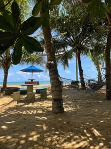 カルタラにあるHotel Coconut Bayのヤシの木と海の浜辺のハンモック