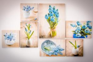 Fotografie z fotogalerie ubytování Apartments Oleandar v Rogoznici