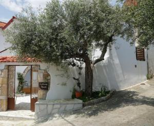 a tree in front of a white building with a door at Stylianos House 3 in Leonidio