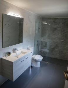 Un baño con lavabo, inodoro y ducha. en Stylianos House 3, en Leonidio