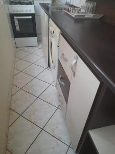 een keuken met een wastafel en een wasmachine bij Victoria Apartment Luxury in Târgu Jiu