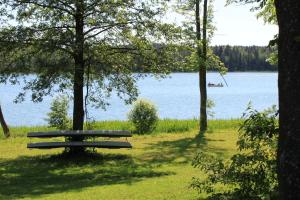 a park bench sitting in the grass near a lake at Folwark Hutta in Suwałki