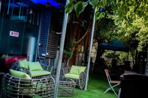 a group of chairs sitting on the grass in a yard at Sese Cottage in Ikeja