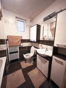 uma casa de banho com um WC e um lavatório em Chalupa Miška em Gôtovany
