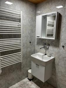 La salle de bains est pourvue d'un lavabo blanc et d'une douche. dans l'établissement Květinová, à Litoměřice