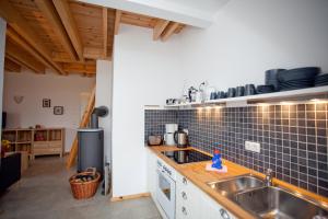 eine Küche mit einer Spüle und einer Arbeitsplatte in der Unterkunft Gutshaus Ketelshagen in Putbus