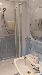 a bathroom with a shower and a sink and a mirror at Knockrobin Cottage in Wicklow