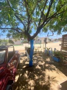 Un árbol azul con un coche aparcado debajo. en Casa Mar & Vento 1 en Jericoacoara