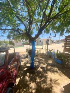 un arbre bleu avec une voiture garée en dessous dans l'établissement Casa Mar & Vento 1, à Jericoacoara 3 autres photos