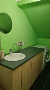 a bathroom with a sink and a green wall at Oāze Ģimenei in Pāvilosta