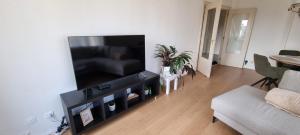 sala de estar con TV de pantalla plana grande en COSY APPARTMENT 3 BEDSROOM, en Amberes