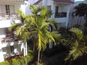 a group of palm trees in front of a building at Boca del mar, apartamento 207/206 in Cuevas