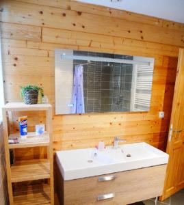 La salle de bains est pourvue d'un lavabo et d'un miroir. dans l'établissement Chalet de Pampo, à Vaujany