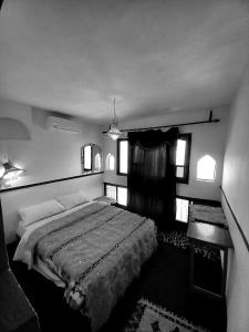 Tamellalt的住宿－Maison La Vallée Des Figues Dadès，一间卧室设有一张大床和一个窗户。