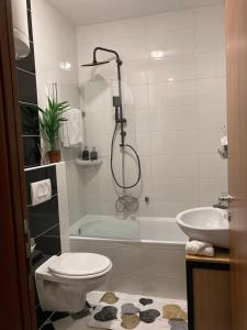 a bathroom with a shower and a toilet and a sink at Alacaster apartment with PRIVATE PARKING in Novi Sad