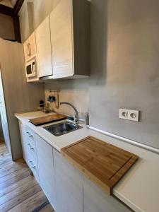 eine Küche mit einer Spüle und einer Arbeitsplatte in der Unterkunft Suite Catedral in Granada